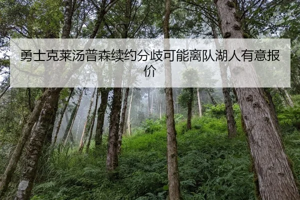 yong-shi-ke-lai-tang-pu-sen-xu-yue-fen-qi-ke-neng-li-dui-hu-ren-you-yi-bao-jia-2-131.jpg